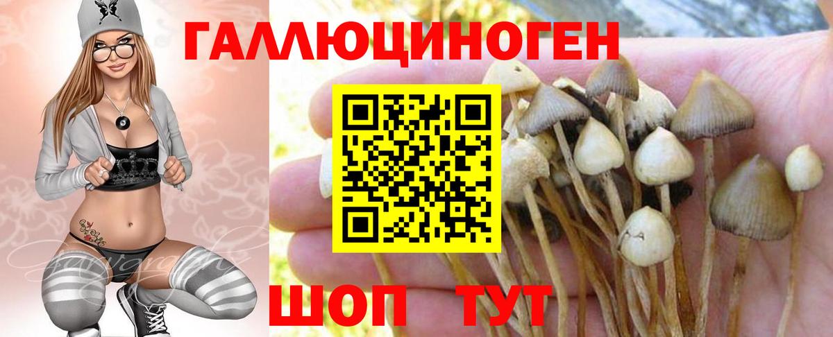 Галлюциногенные грибы MAGIC MUSHROOMS Кумертау