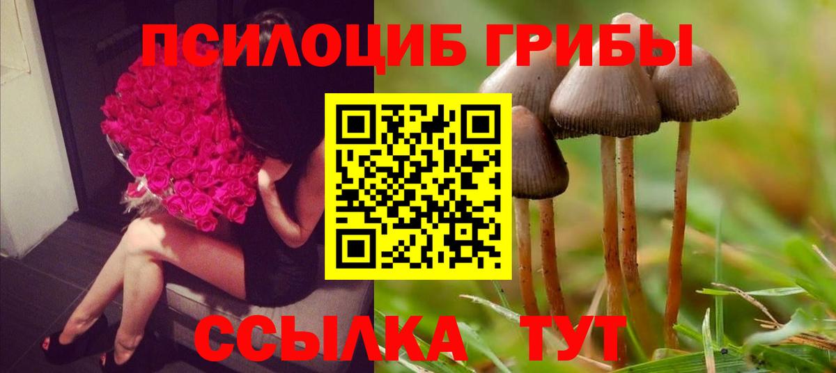 Псилоцибиновые грибы MAGIC MUSHROOMS  Кумертау  Псилоцибиновые грибы Magic Shrooms 