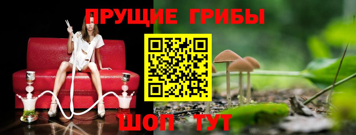 Кумертау  Псилоцибиновые грибы Psilocybine cubensis  Галлюциногенные грибы GOLDEN TEACHER  даркнет сайт  Вход с VPN 